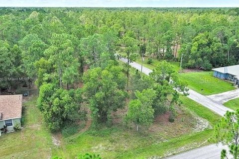 Land in Lehigh Acres, Florida № 2164336 - photo 3