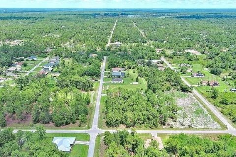 Land in Lehigh Acres, Florida № 2164336 - photo 14