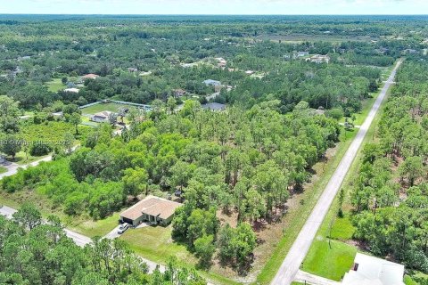 Land in Lehigh Acres, Florida № 2164336 - photo 10