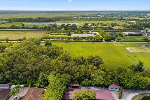 Immobilier commercial à vendre à Wellington, Floride № 2082324 - photo 13