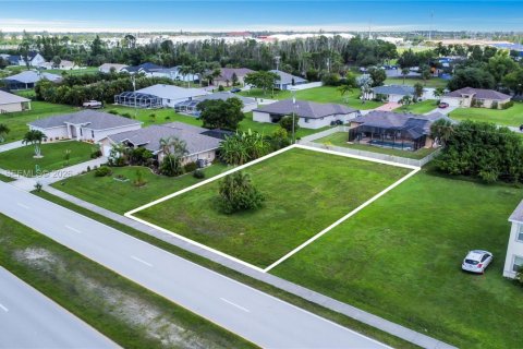 Land in Cape Coral, Florida № 2152612 - photo 2