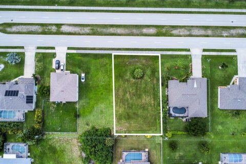 Land in Cape Coral, Florida № 2152612 - photo 7