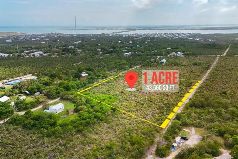 Land in Big Pine Key, Florida № 2110007 - photo 3