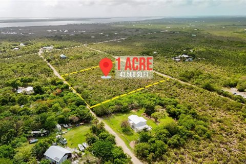 Land in Big Pine Key, Florida № 2110007 - photo 2