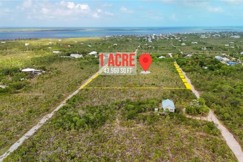 Land in Big Pine Key, Florida № 2110007 - photo 4