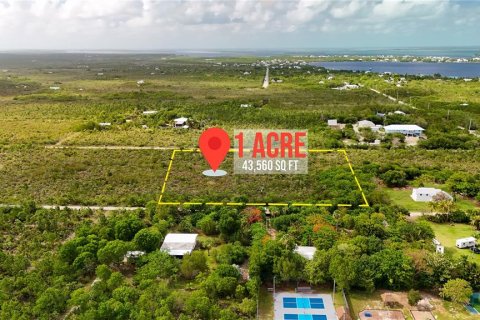 Land in Big Pine Key, Florida № 2110007 - photo 6