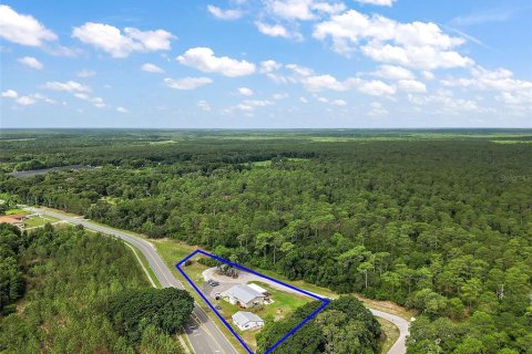 Propiedad comercial en venta en Paisley, Florida, 290.04 m2 № 2108626 - foto 3