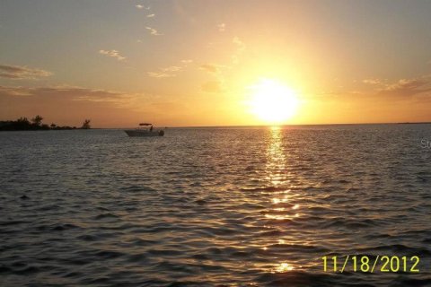 Land in Placida, Florida № 2239866 - photo 9