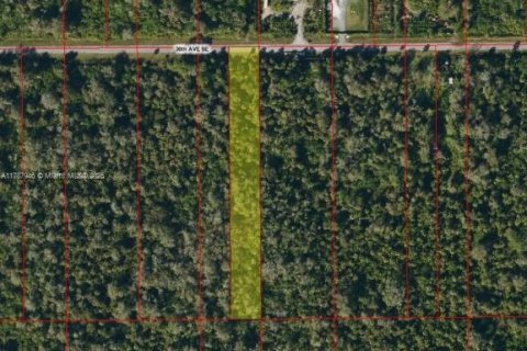 Land in Naples, Florida № 1728243 - photo 2