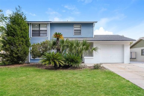 House in Tampa, Florida 4 bedrooms, 195.37 sq.m. № 2111368
