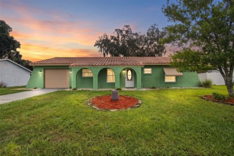 Villa ou maison à Zephyrhills, Floride 2 chambres, 109.25 m2 № 2406233