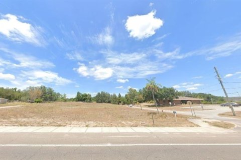 Land in Babson Park, Florida № 2161943 - photo 4