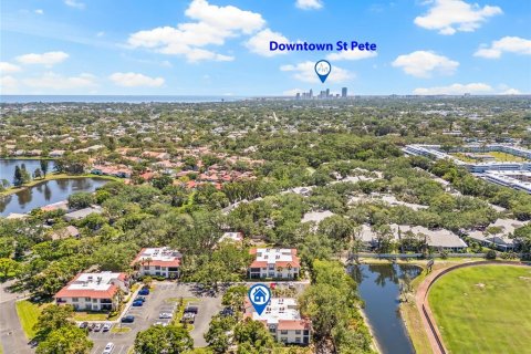 Condo in Saint Petersburg, Florida, 2 bedrooms  № 1650226 - photo 3