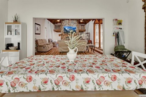 Villa ou maison à vendre à DeLand, Floride: 4 chambres, 240.25 m2 № 1561929 - photo 6