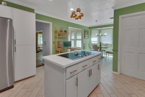 Villa ou maison à vendre à DeLand, Floride: 4 chambres, 240.25 m2 № 1561929 - photo 29
