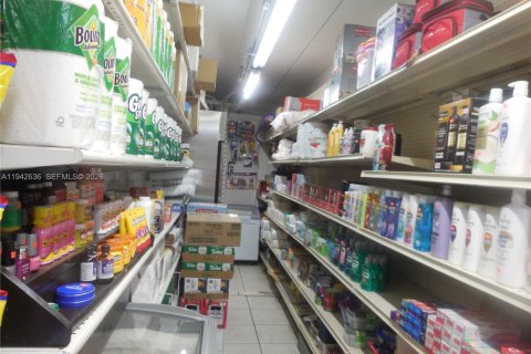 Immobilier commercial à vendre à Miami, Floride № 2060107 - photo 5