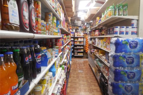 Immobilier commercial à vendre à Miami, Floride № 2060107 - photo 13