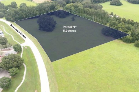 Land in Alachua, Florida № 2211864 - photo 2