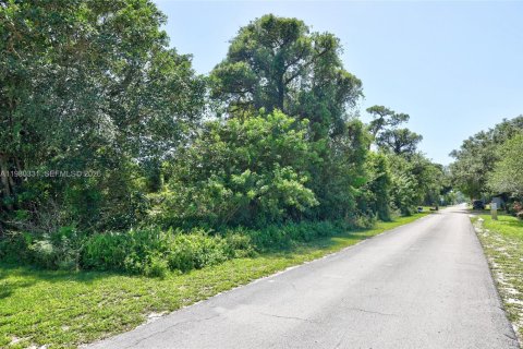 Land in St. Lucie, Florida № 2158601 - photo 3