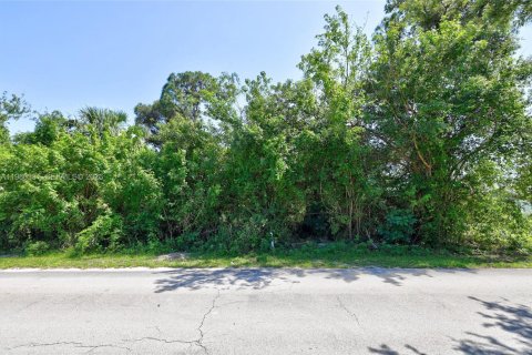 Land in St. Lucie, Florida № 2158601 - photo 4