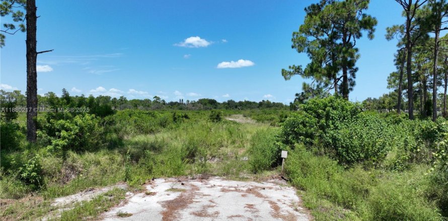 Коммерческая недвижимость в Себринг, Флорида № 2050130