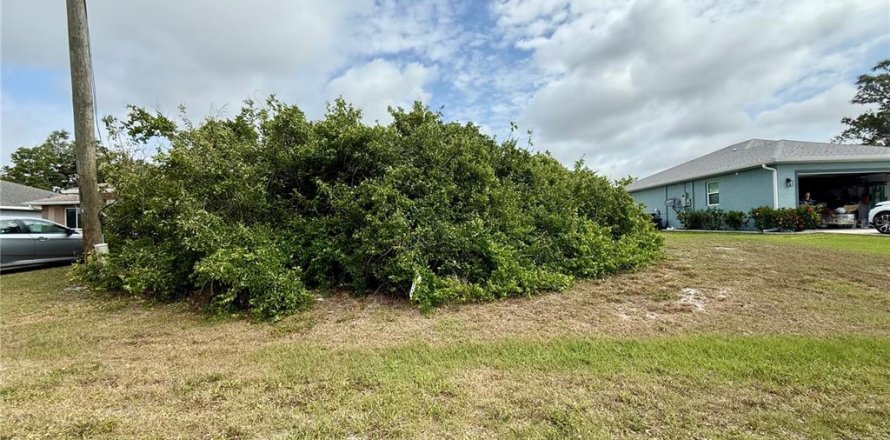 Terrain à Rotonda, Floride № 1807346