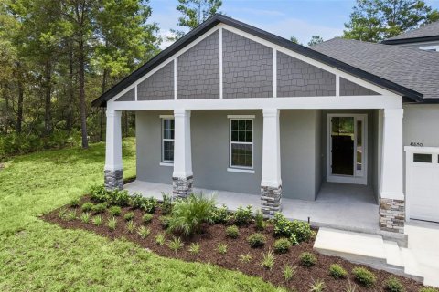 Villa ou maison à vendre à Eustis, Floride: 4 chambres, 252.23 m2 № 2152040 - photo 3