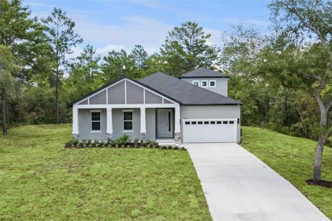 Villa ou maison à Eustis, Floride 4 chambres, 252.23 m2 № 2152040