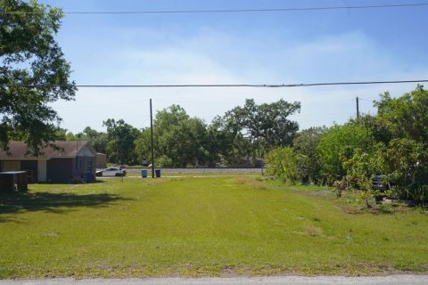 Land in Fort Meade, Florida № 1716451 - photo 6