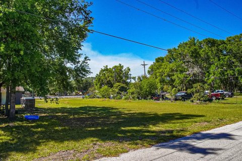 Land in Fort Meade, Florida № 1716451 - photo 5