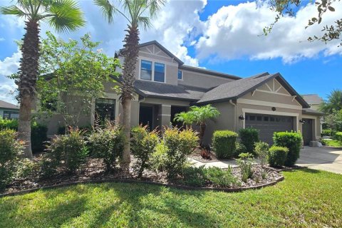 House in Tampa, Florida 6 bedrooms, 384.8 sq.m. № 2349613 - photo 30