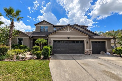 House in Tampa, Florida 6 bedrooms, 384.8 sq.m. № 2349613