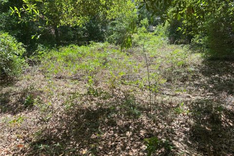 Land in Crystal River, Florida № 2165958