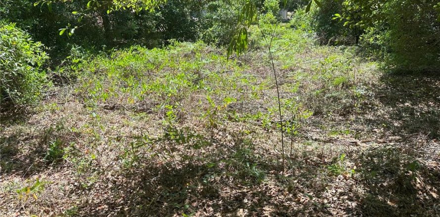 Land in Crystal River, Florida № 2165958