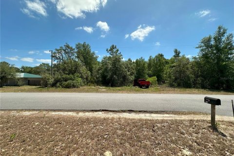 Land in Crystal River, Florida № 2165958 - photo 2