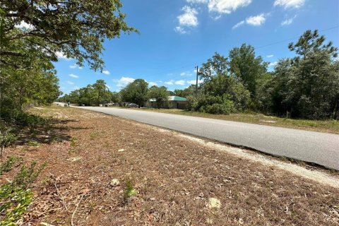 Land in Crystal River, Florida № 2165958 - photo 3