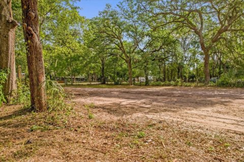Terreno en venta en Christmas, Florida № 1657145 - foto 6