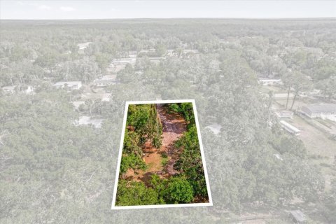 Terreno en venta en Christmas, Florida № 1657145 - foto 11