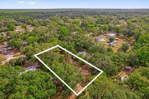 Terreno en venta en Christmas, Florida № 1657145 - foto 8