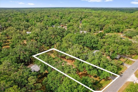 Terreno en venta en Christmas, Florida № 1657145 - foto 10