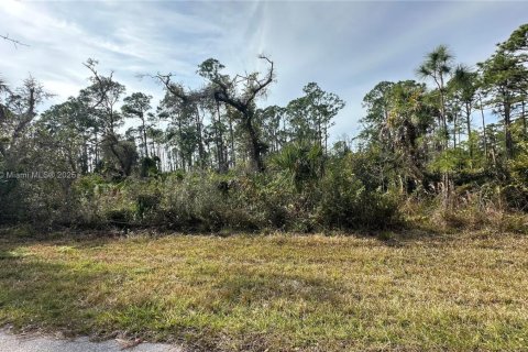 Terreno en venta en Port Charlotte, Florida № 2034876 - foto 5