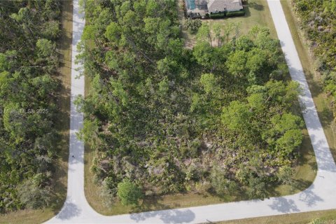 Terreno en venta en Port Charlotte, Florida № 2034876 - foto 9