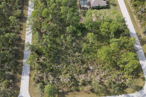 Terreno en venta en Port Charlotte, Florida № 2034876 - foto 8