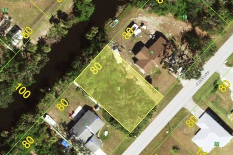 Land in Port Charlotte, Florida № 2160840 - photo 2