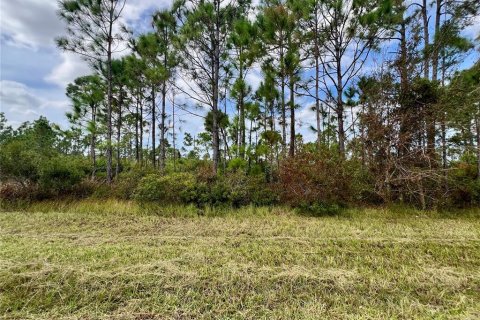 Terrain à Port Charlotte, Floride № 2159952