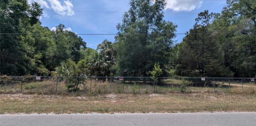 Terrain à Dunnellon, Floride № 1663170