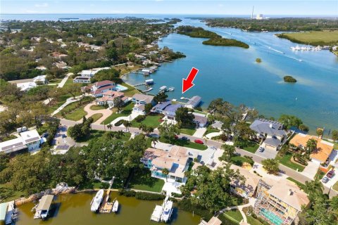 Villa ou maison à vendre à Tarpon Springs, Floride: 4 chambres, 507.25 m2 № 2126858 - photo 3