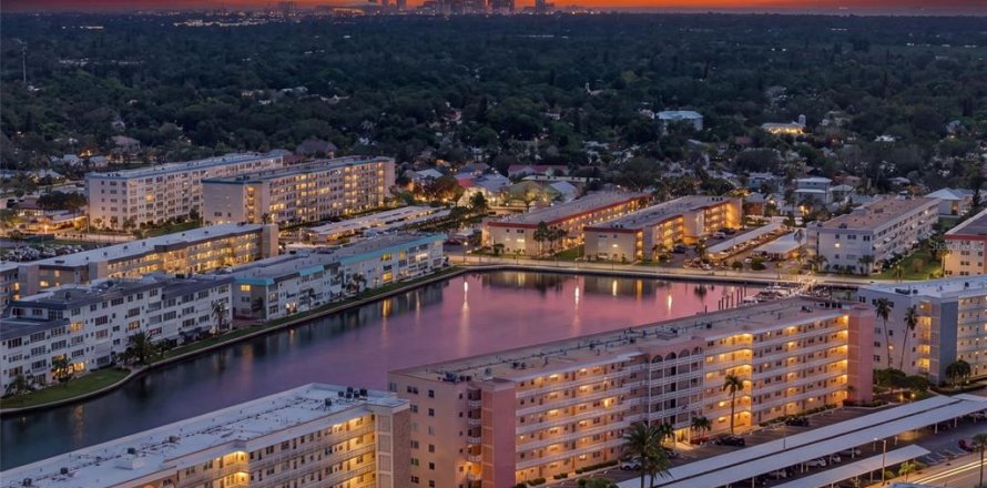 Condo à Gulfport, Floride, 1 chambre № 2369096