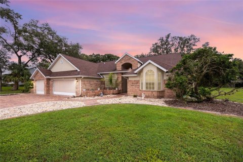 Villa ou maison à vendre à Hudson, Floride: 4 chambres, 234.76 m2 № 1912280 - photo 1