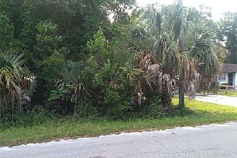 Land in Ocala, Florida № 2161829 - photo 9